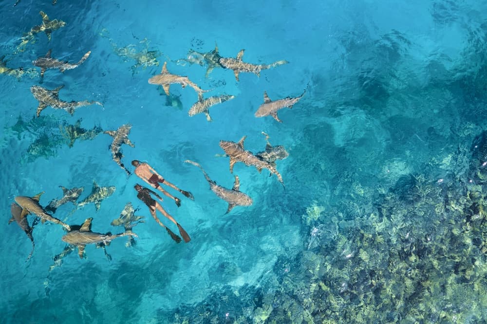 Anantara Veli Maldives Resort - Adults Only - View 27