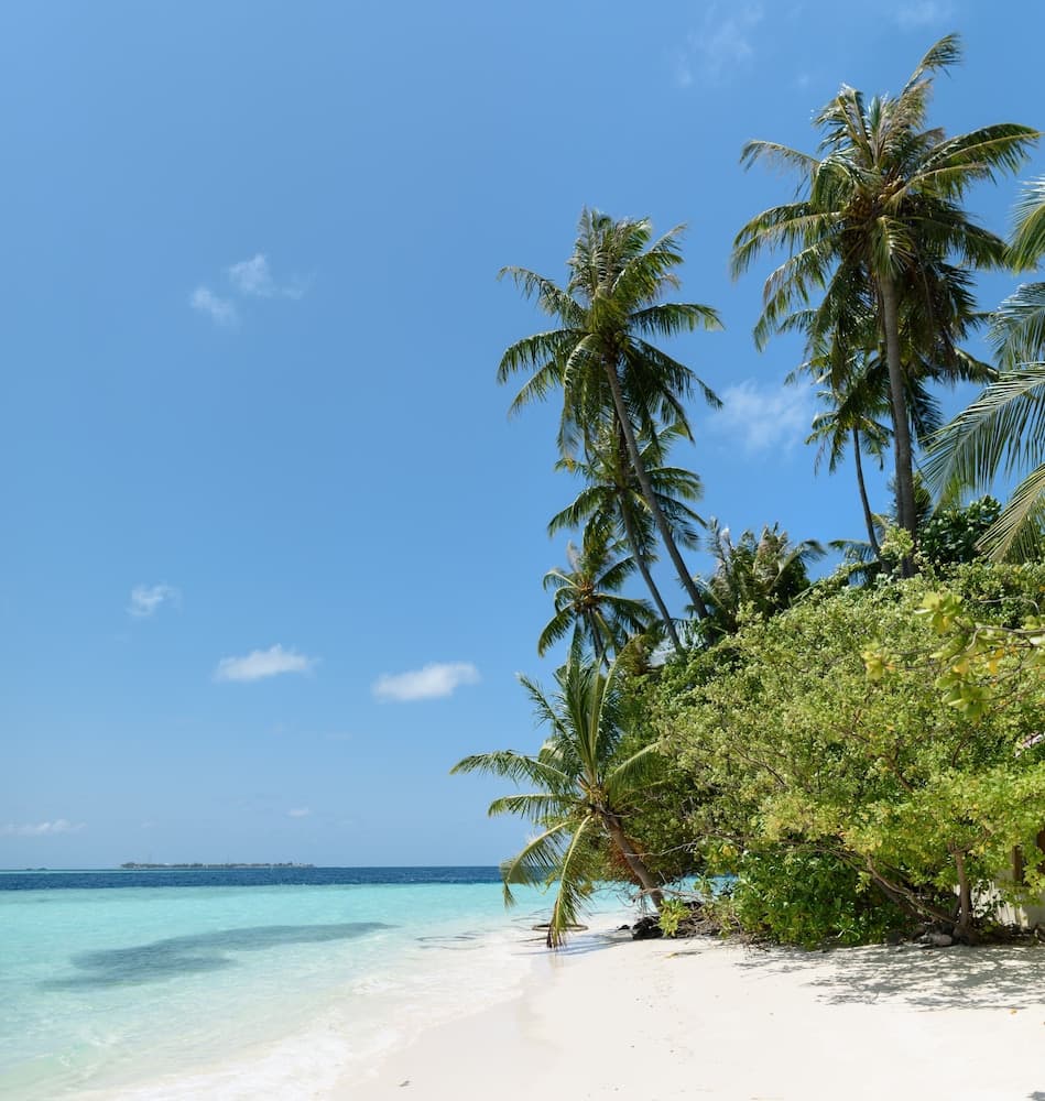 Biyadhoo Island Resort - View 39