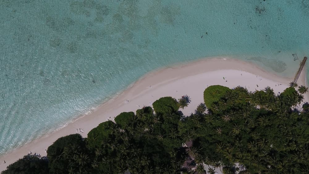Biyadhoo Island Resort - View 12