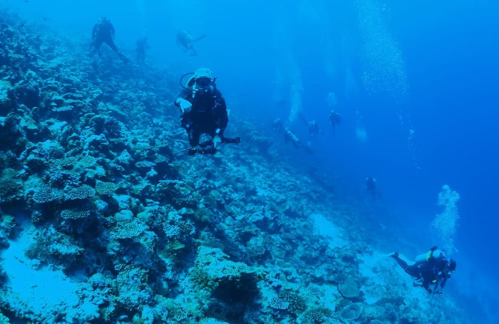 Adroit Beach Inn - View 145