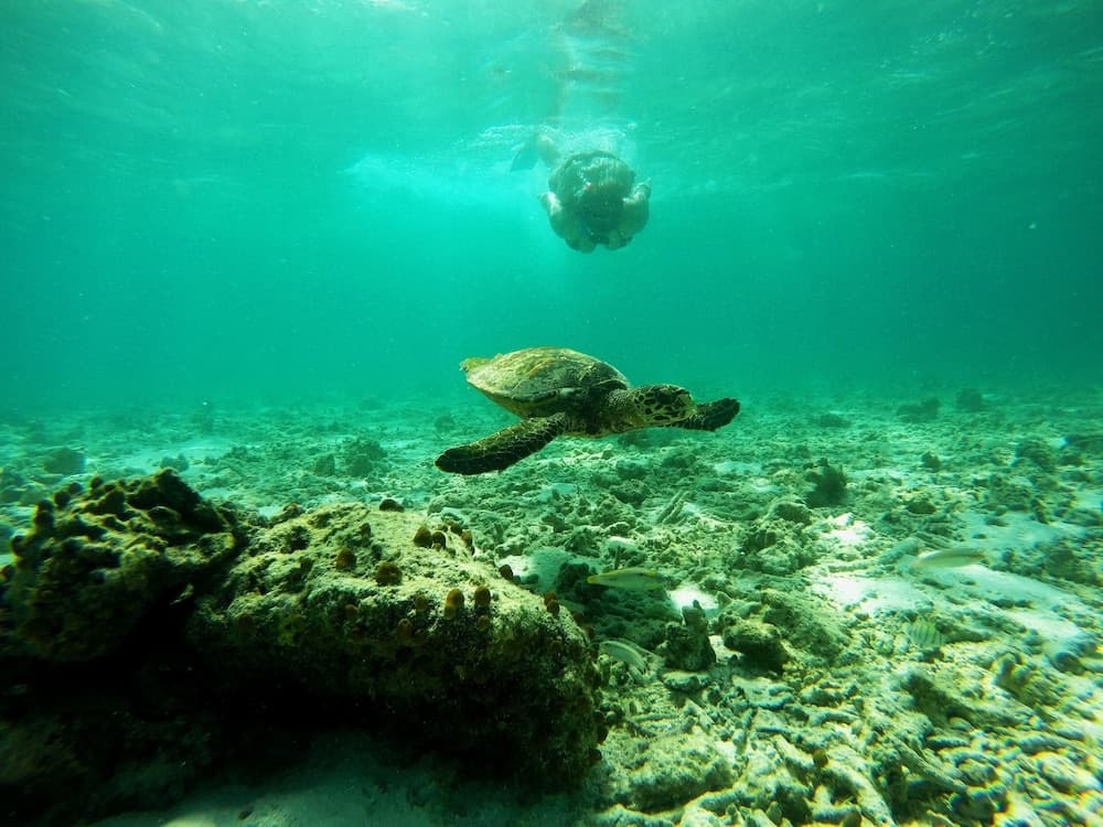 Adroit Beach Inn - View 39