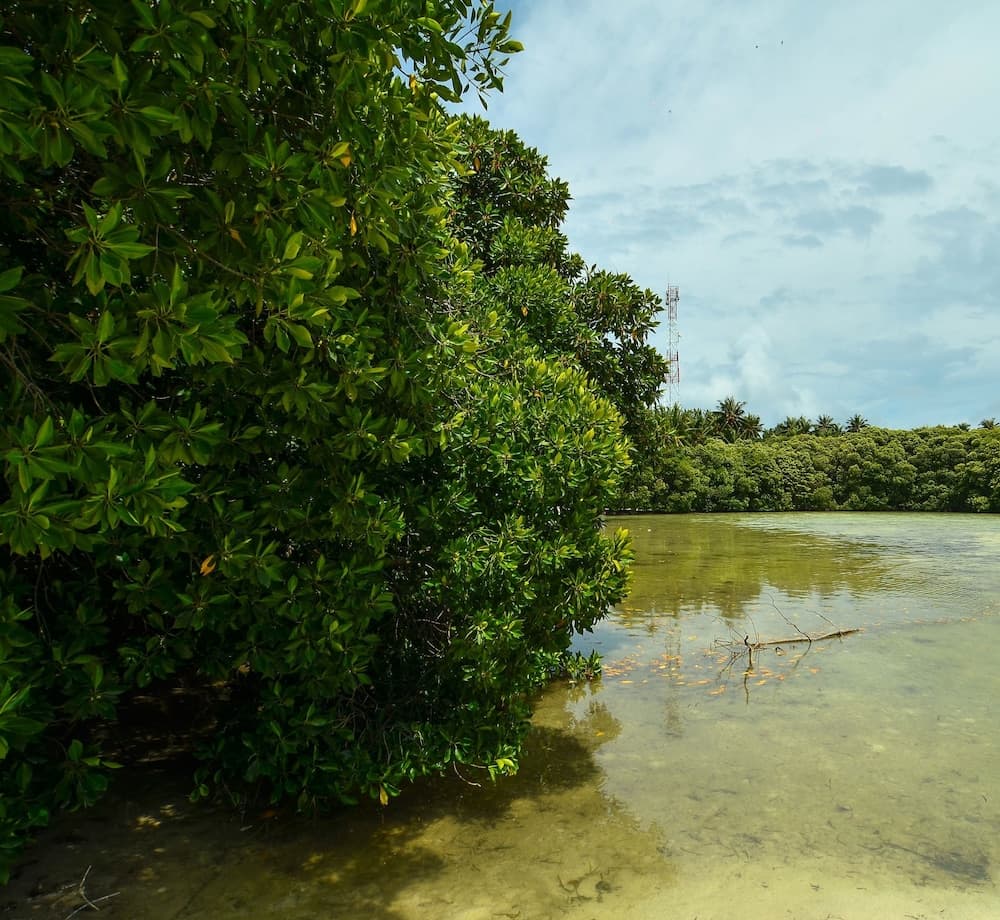 Huraa East Inn - View 23