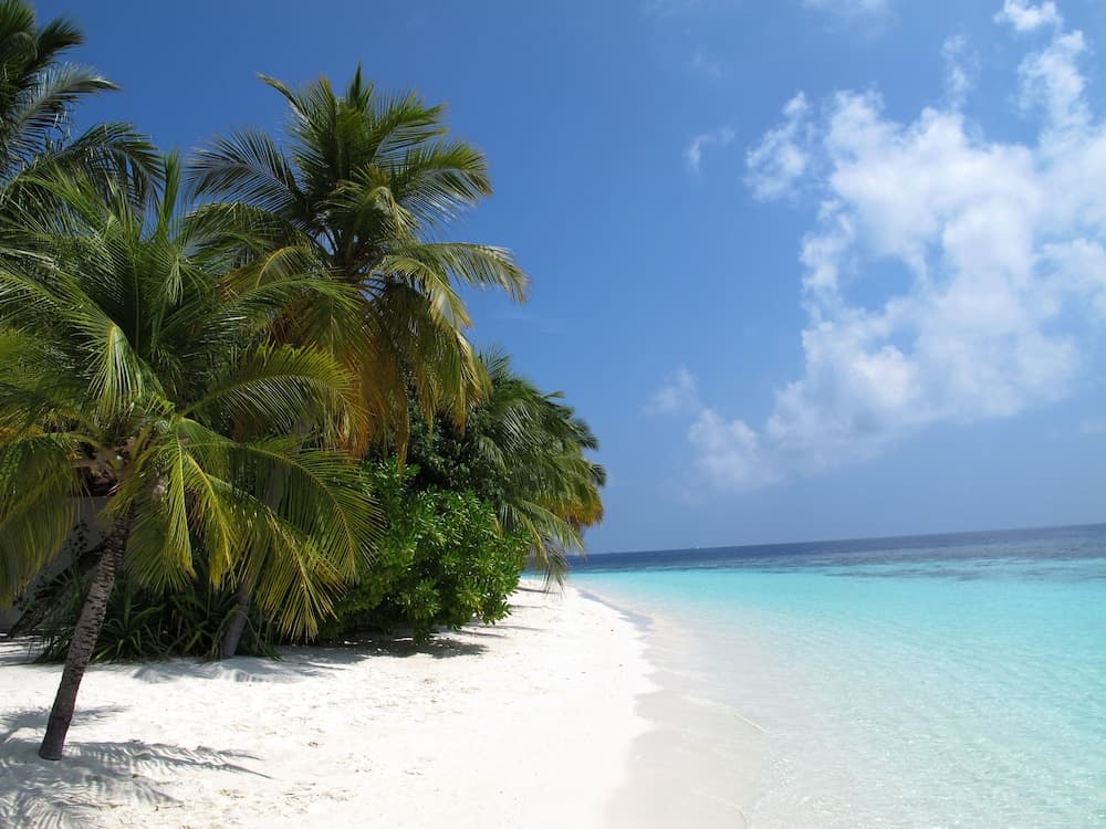 Equa Reef Maldives - View 1