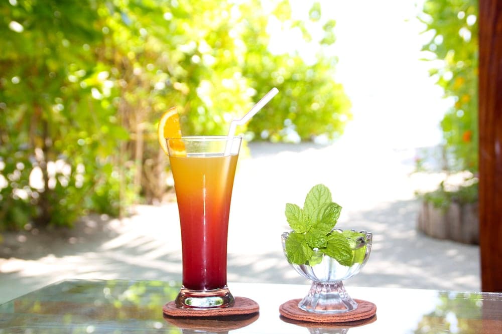 Ithaa Beach Maldives - View 102