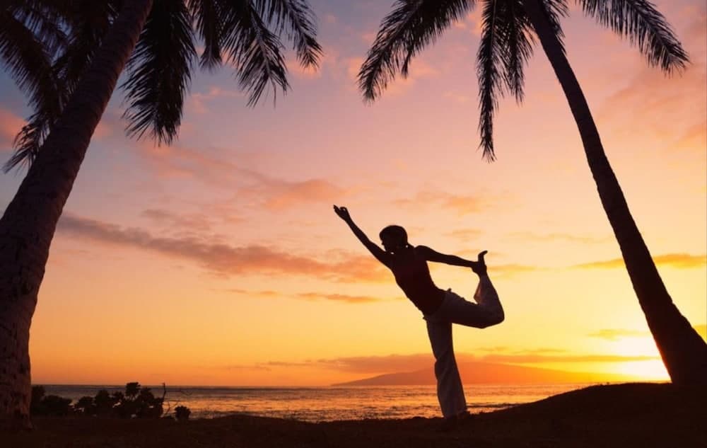 Hurawalhi Island Resort - View 38