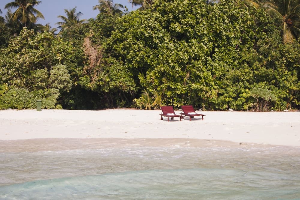 Gurahaana Guest House - View 13