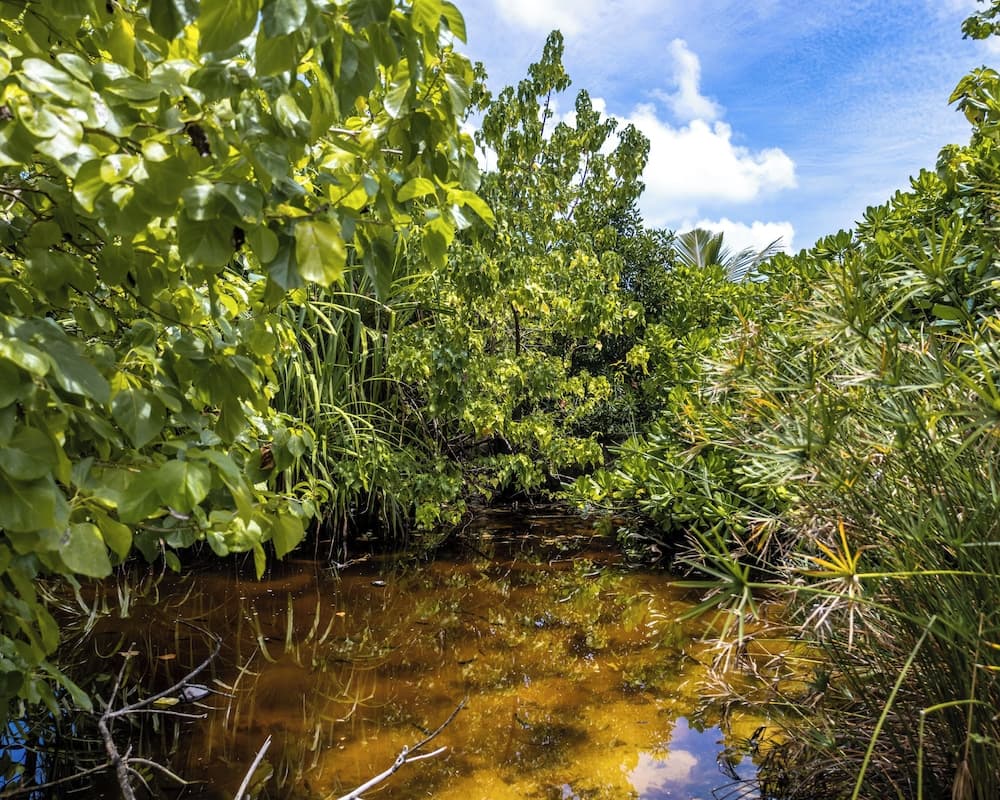 Fushi Beach Fenfushi - View 40