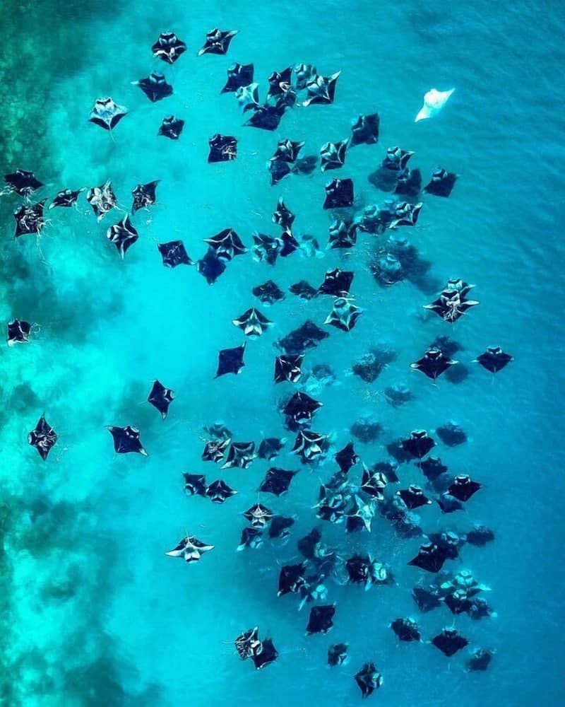 Dhoani Maldives Guesthouse - View 42