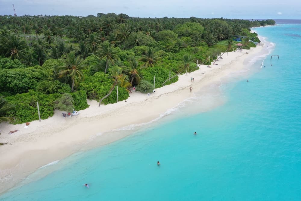 Sunny Pavilion - View 16