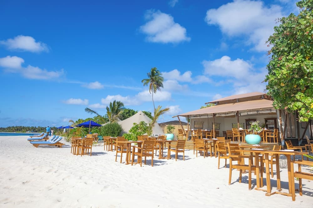 The Maverick Surf and Dive Boutique Hotel - View 9