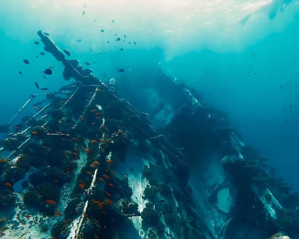 Noah Private Beach House - View 17