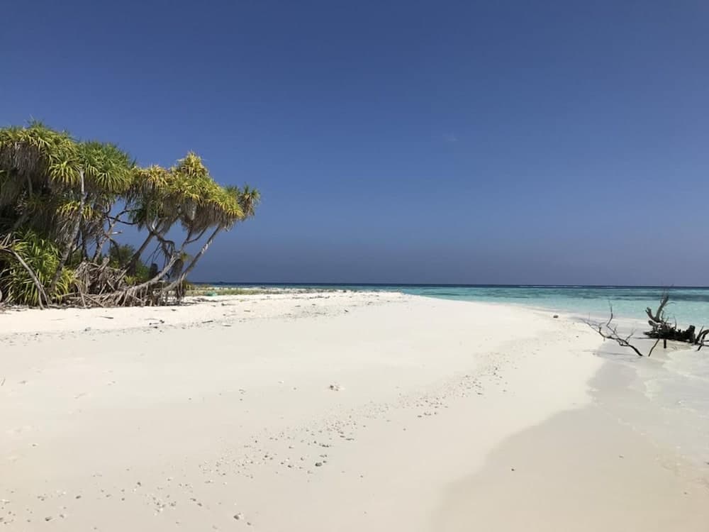 Kalaafaanu Retreat - View 1