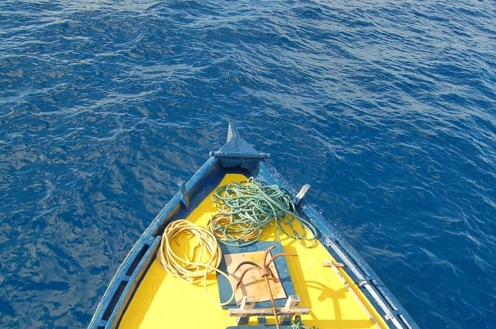 Vaali Maldives Island Escapes & Dive - View 35