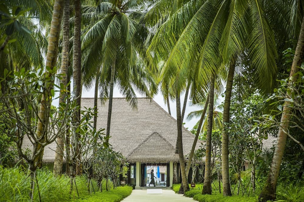 COMO Maalifushi - View 101