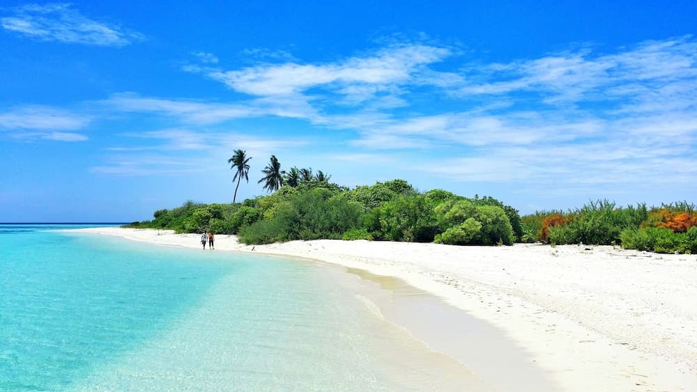 Noovilu Suites Maldives - View 18