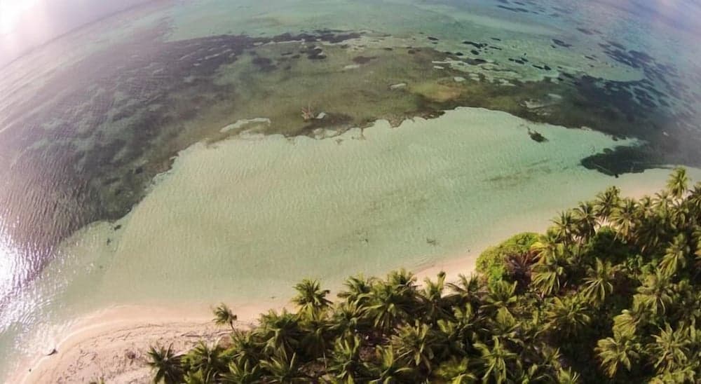 Pearl Beach View - View 18