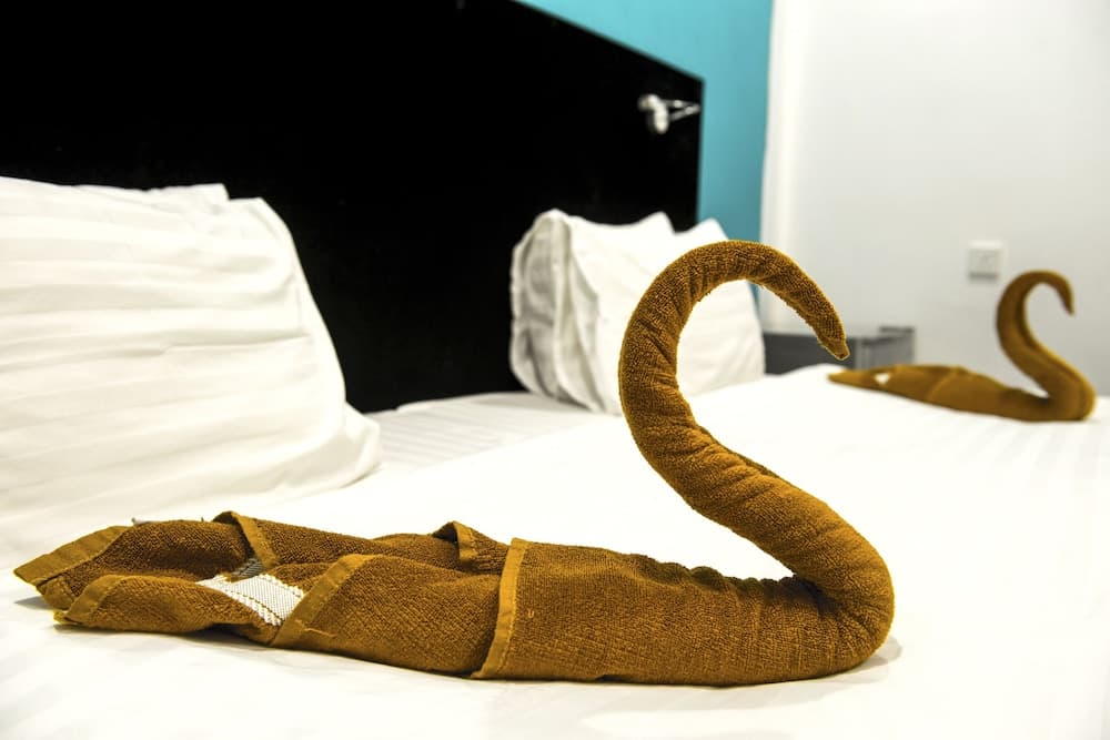 Seven Corals - View 7