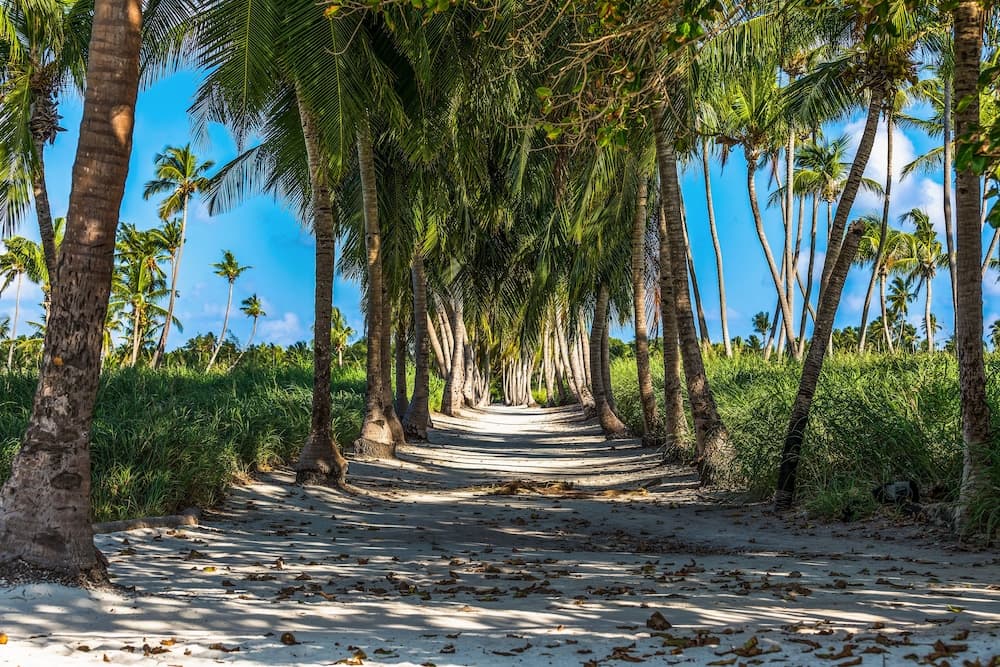 Relax Residence Thoddoo Maldives - View 12