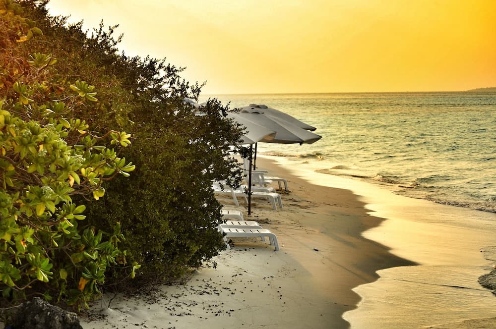 Dhiffushi White Sand Beach Hotel - View 15