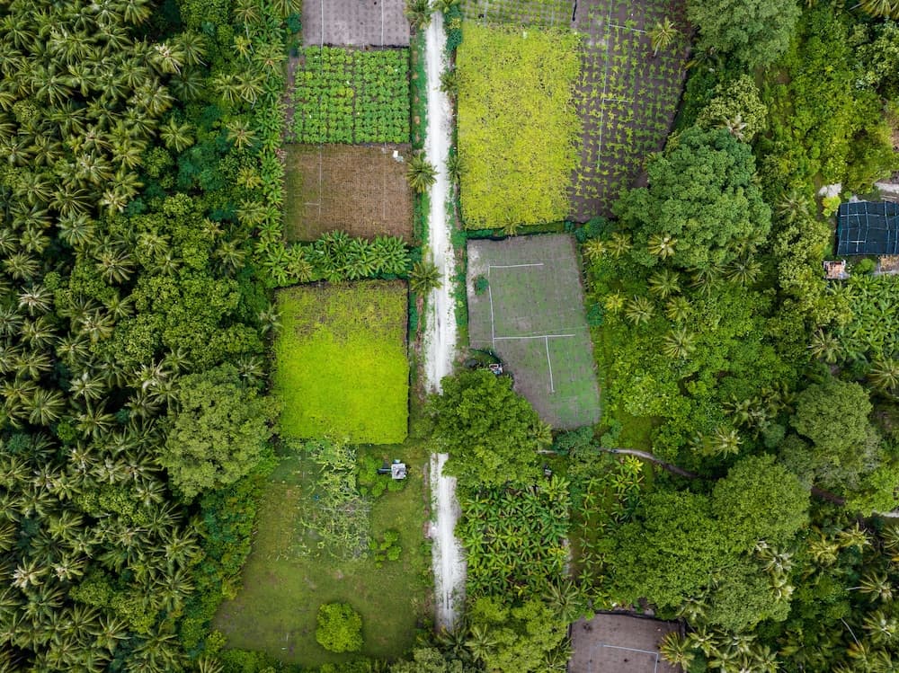 Island Zephyr - View 2