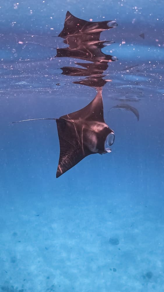 Sands Garden Hotel - View 51