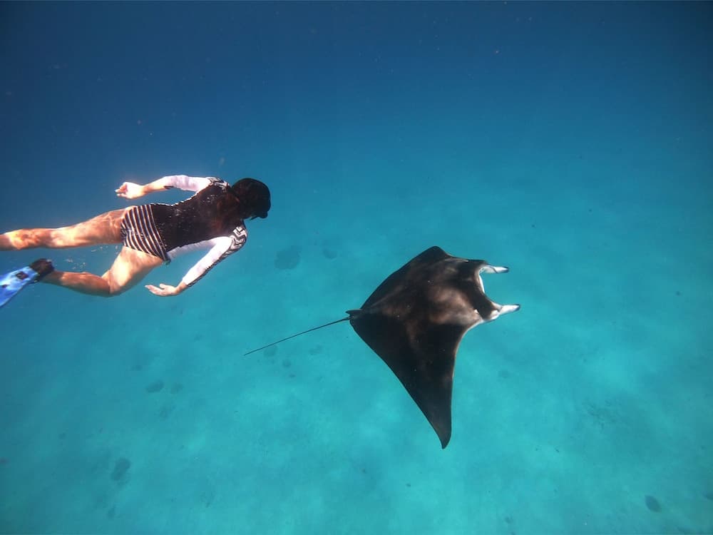 Select Village Maafushi - View 46