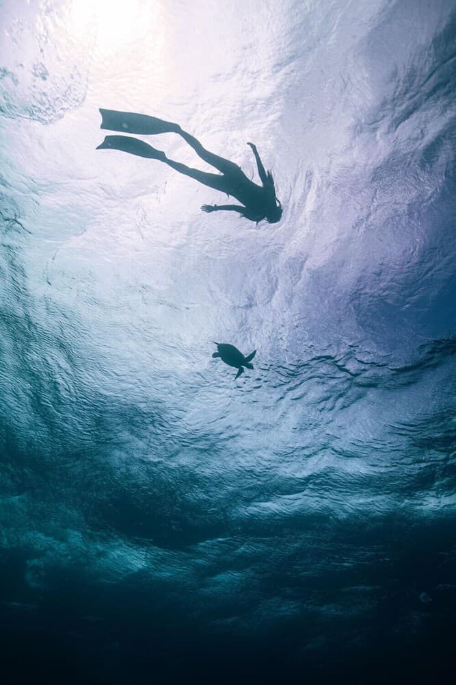 Endheri Sunset - View 41