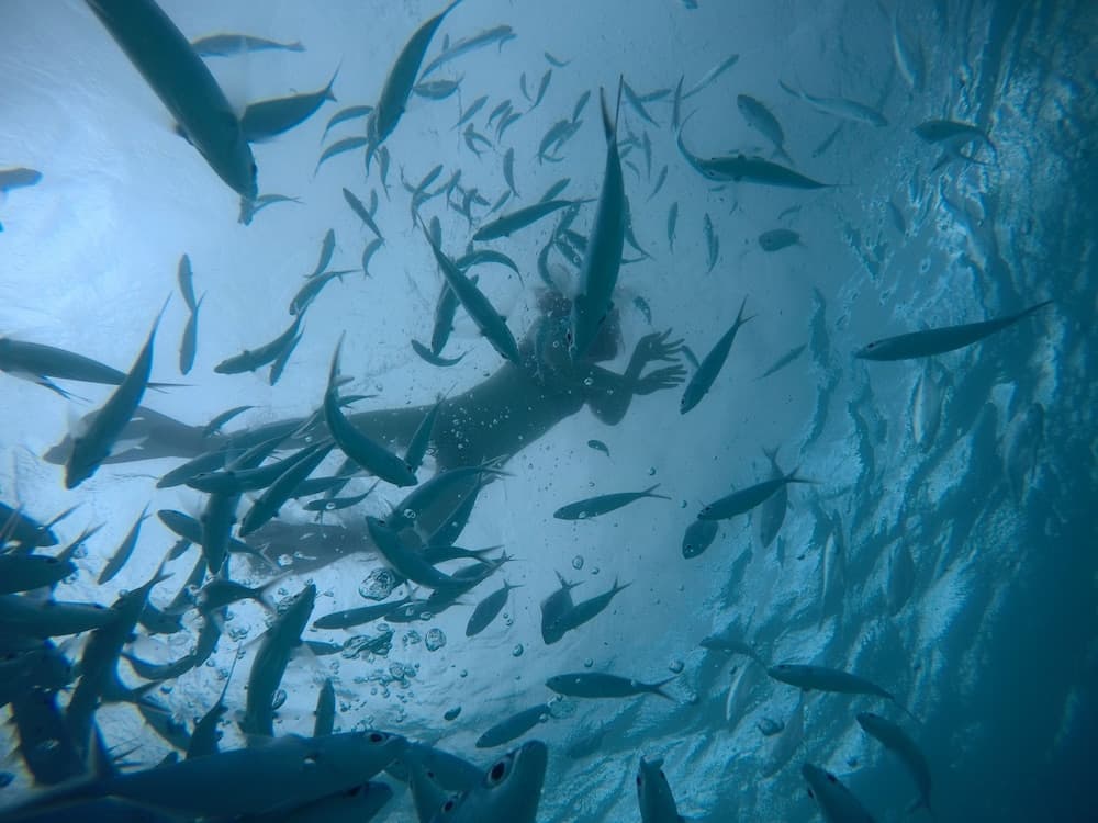 Royal Inn Rasdhoo - View 19