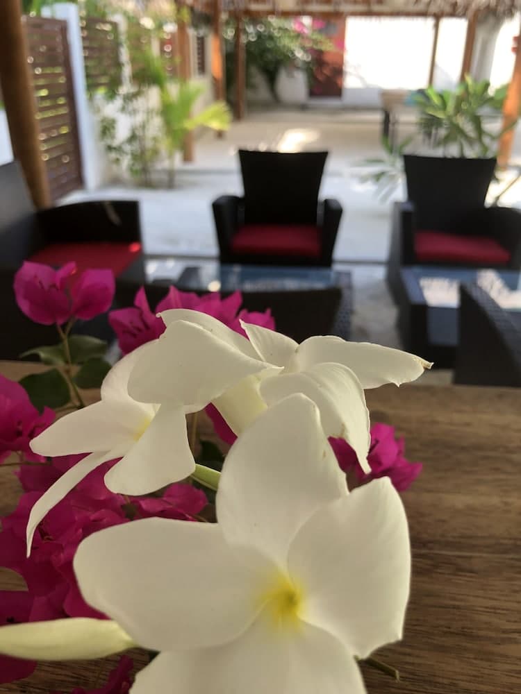 Tropical Sands Kelaa - View 33