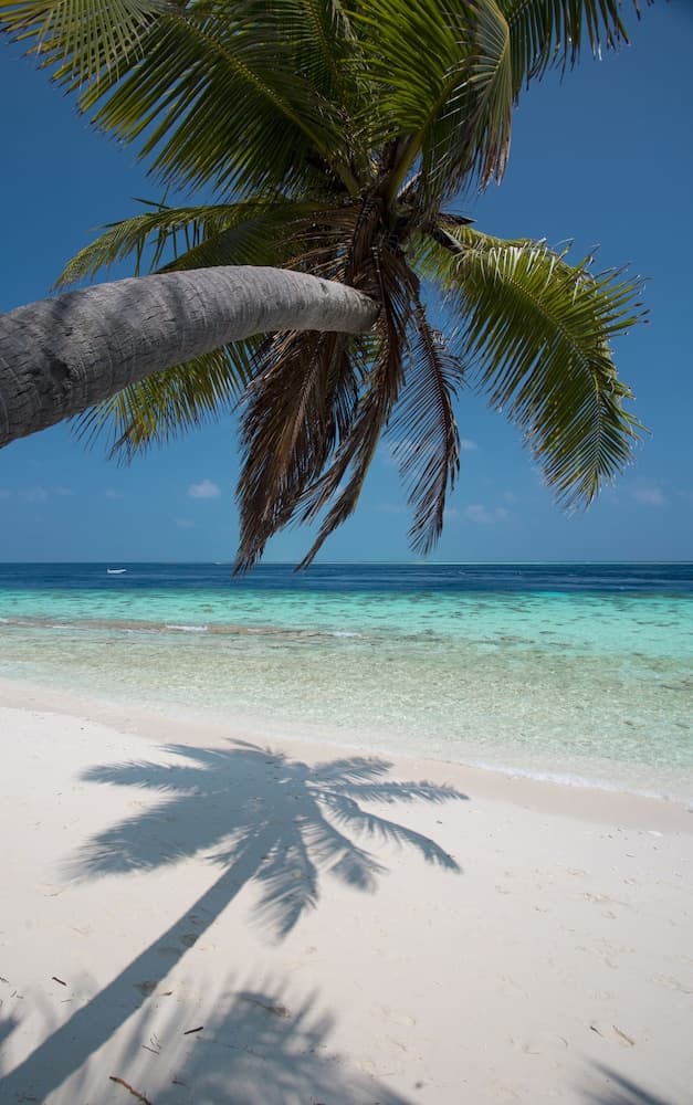 Filitheyo Island Resort - View 96