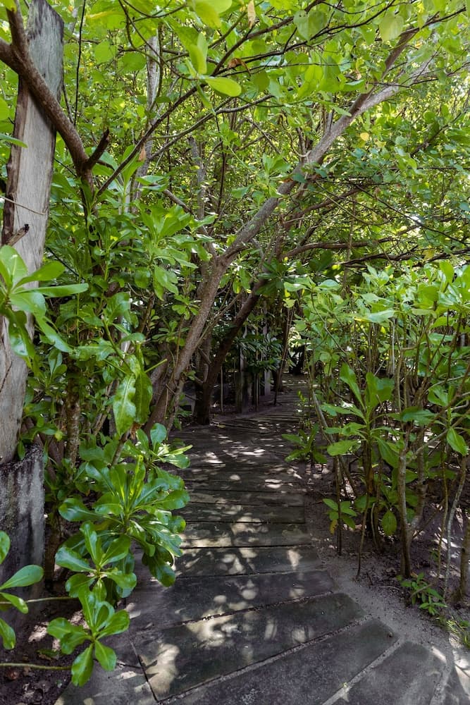 Mi Lugar Retreat and Spa - View 62