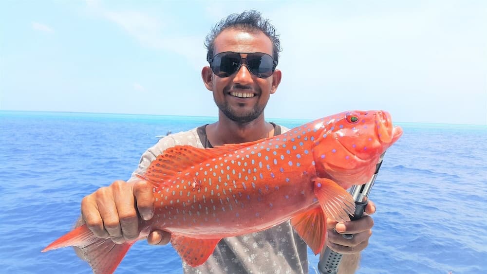 Explore Island Inn - View 9