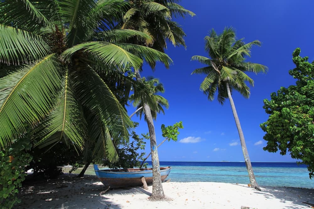 Local Island Inn - View 42