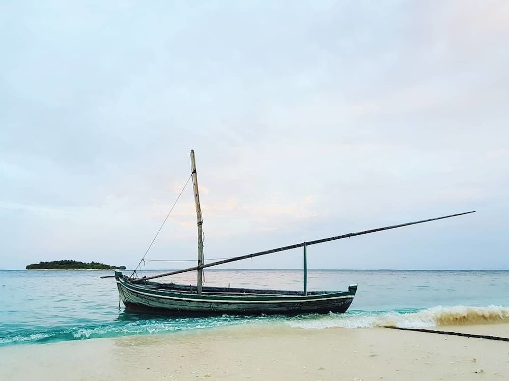 Hanifaru Stay - View 19