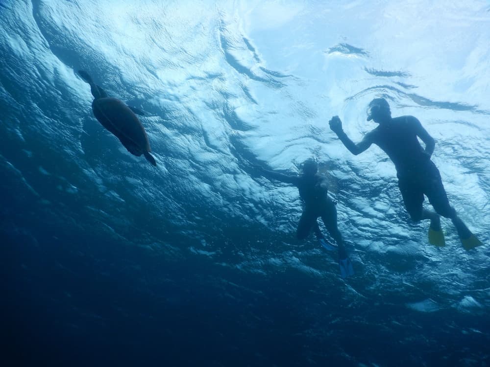 Equa Reef Maldives - View 89