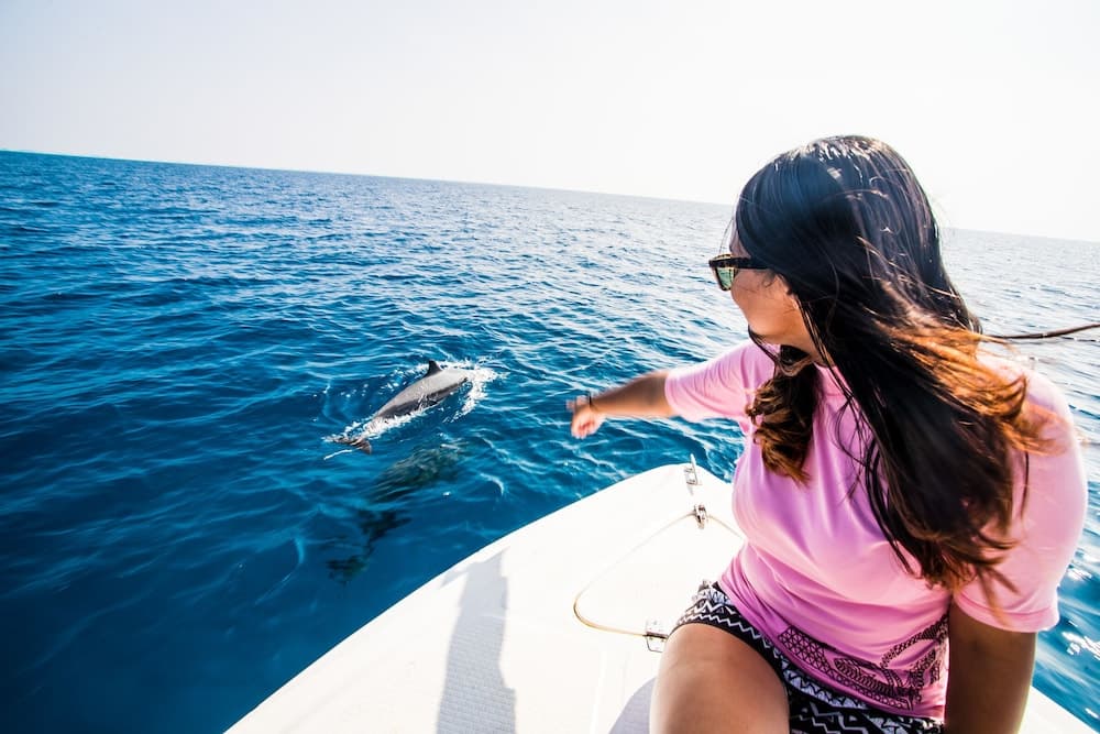 Old Town Inn - View 10