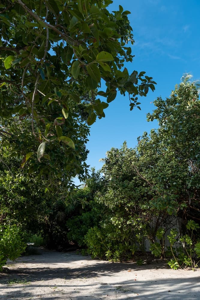 Mi Lugar Retreat and Spa - View 47