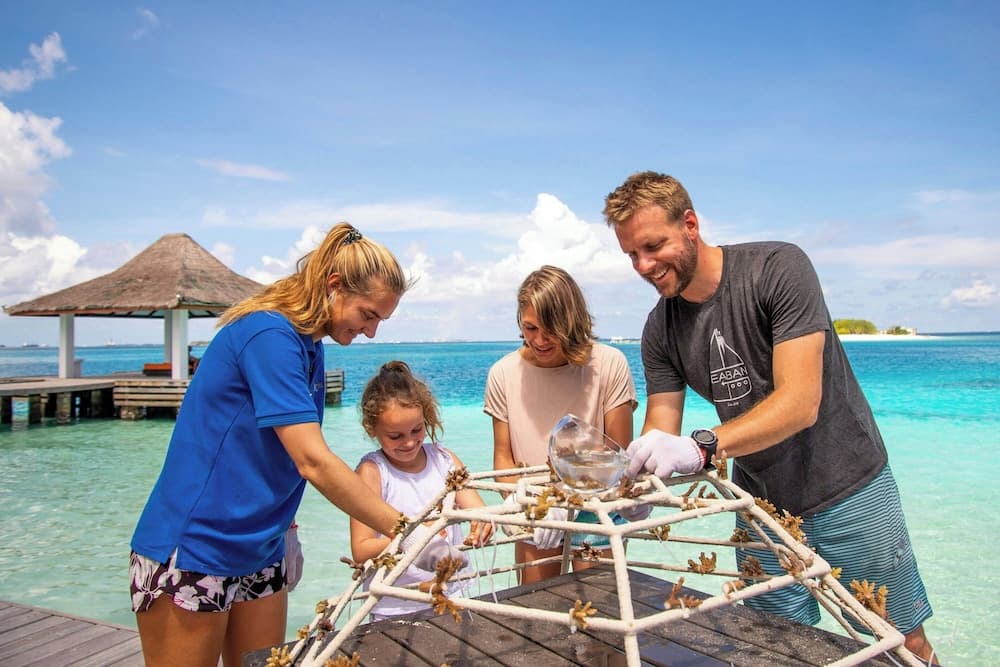 Sheraton Maldives Full Moon Resort & Spa - View 143