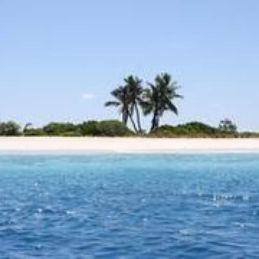 Pearl Beach View - View 15