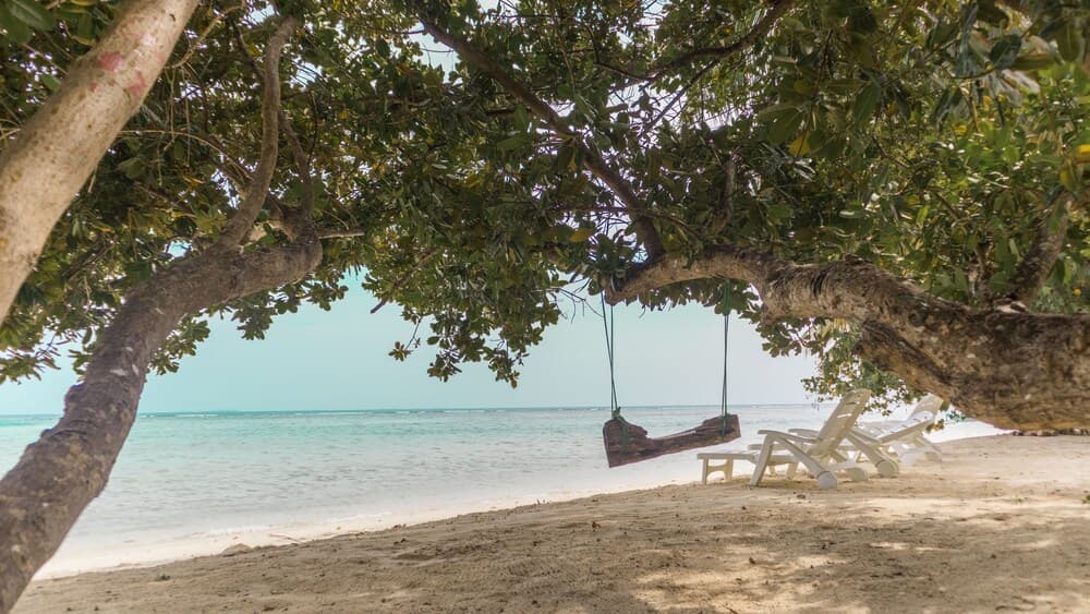 PALM REST MALDIVES - View 13