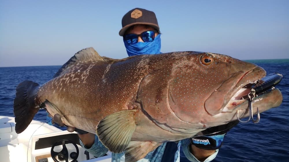 Mariana Inn Maldives - View 39