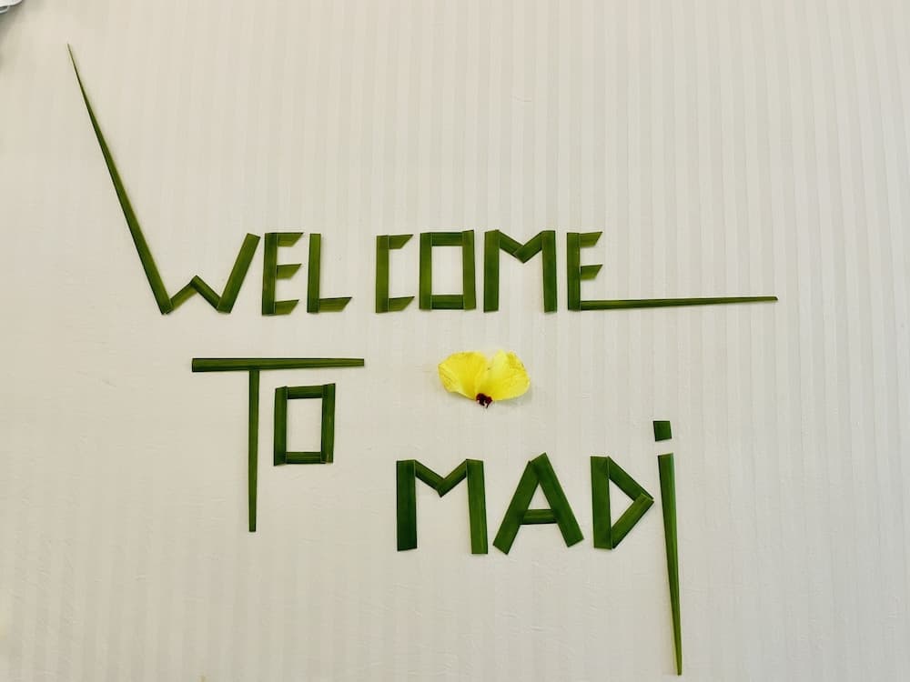 Madi Finolhu Guesthouse - View 4