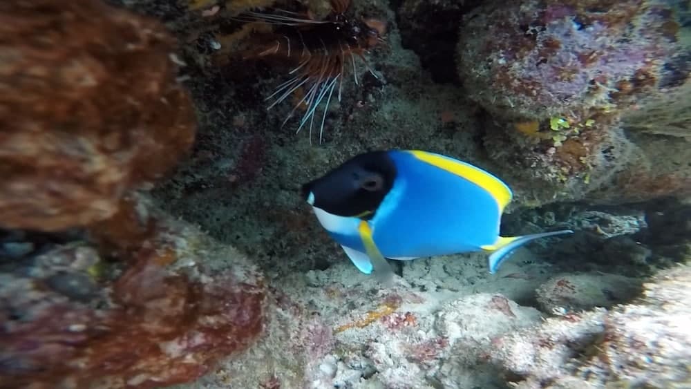 Casa Enjoy Maldives - View 23