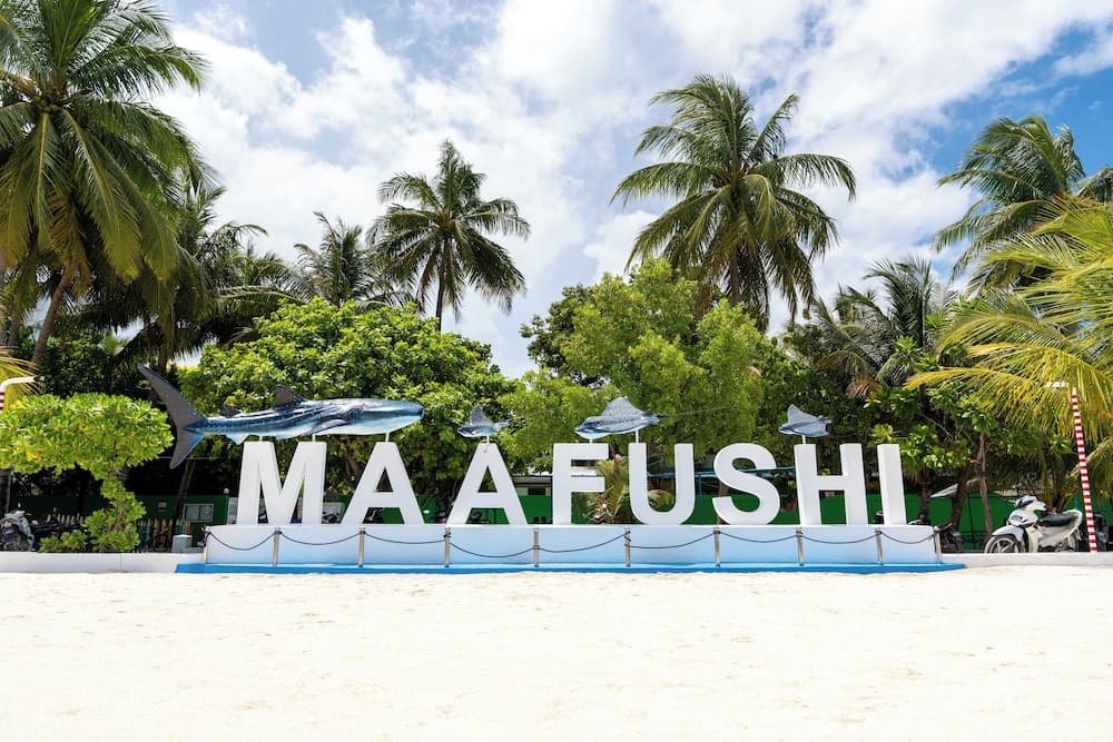 SEASUNBEACH MAAFUSHI - View 24
