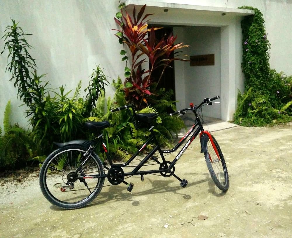 Evexia Beach Collection - A Premium Wellness Retreat - View 22