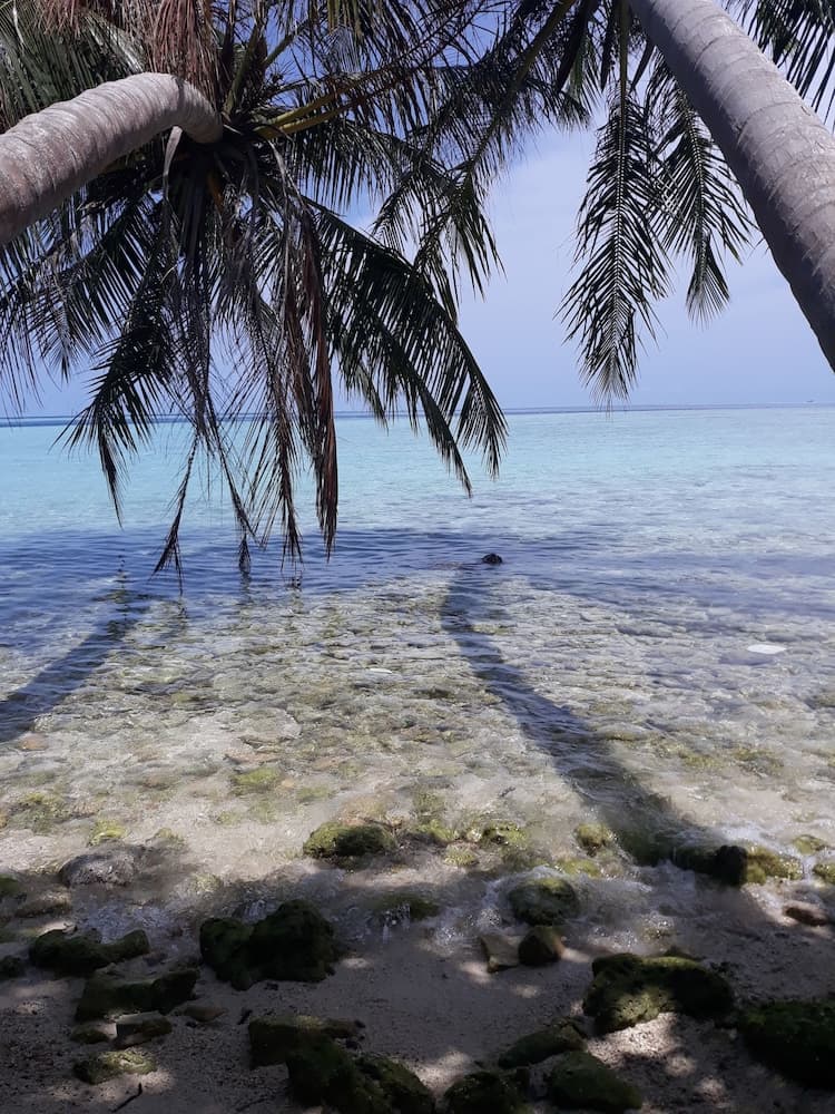 Hibiscus Holidays - View 21