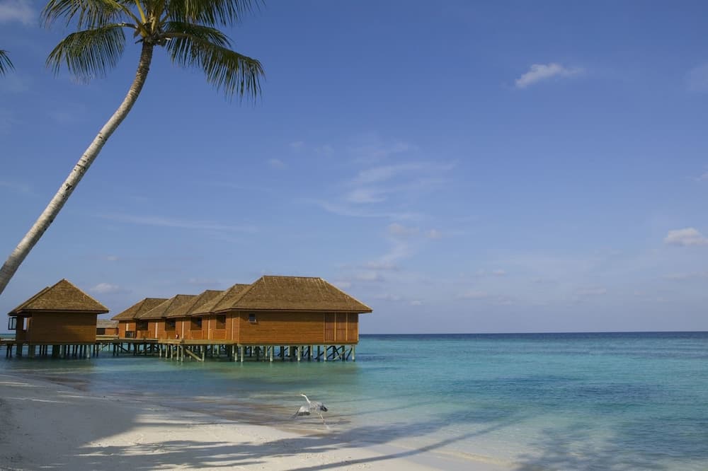 Veligandu Maldives Resort Island - View 46