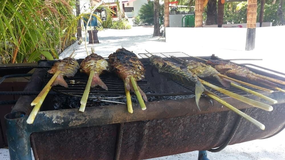 Hudhu Raakani Lodge - View 40