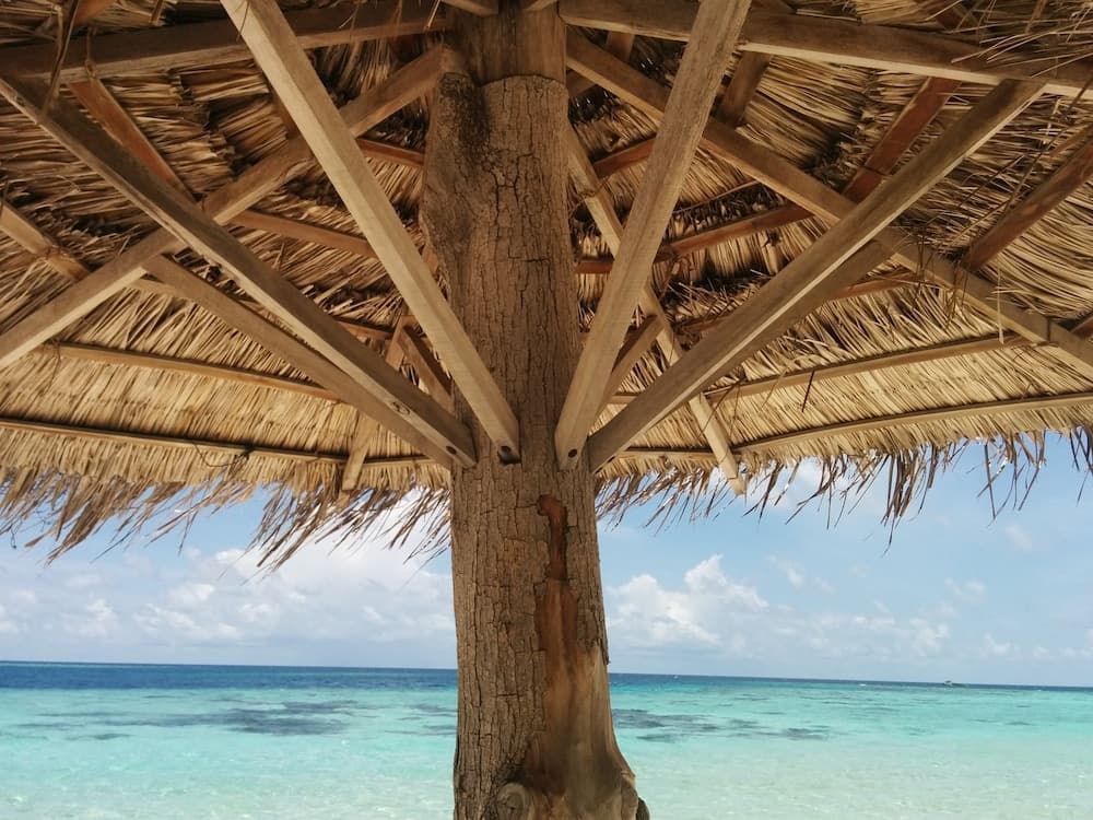 Vaali Maldives Island Escapes & Dive - View 16