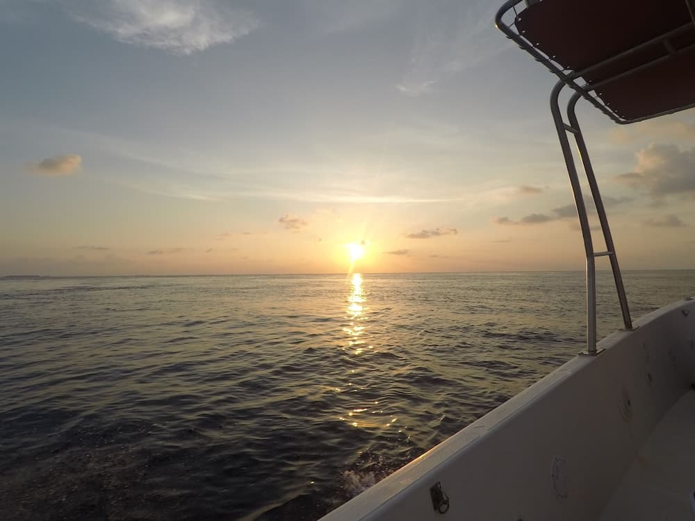 West Sands - View 68